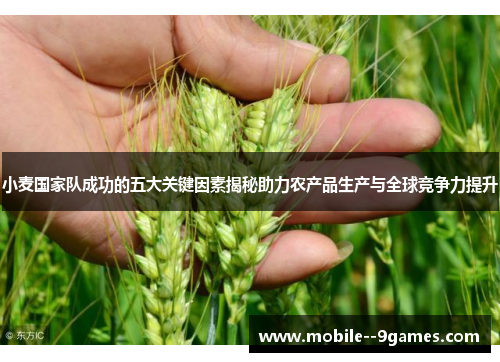 小麦国家队成功的五大关键因素揭秘助力农产品生产与全球竞争力提升 小麦国家队成功的五大关键因素揭秘助力农产品生产与全球竞争力提升